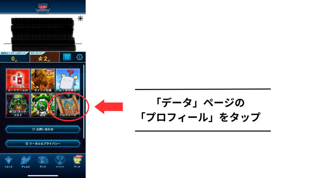「データ」ページの「プロフィール」をタップ